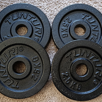 Ketasraskused Tunturi 4 x 2,5 kg