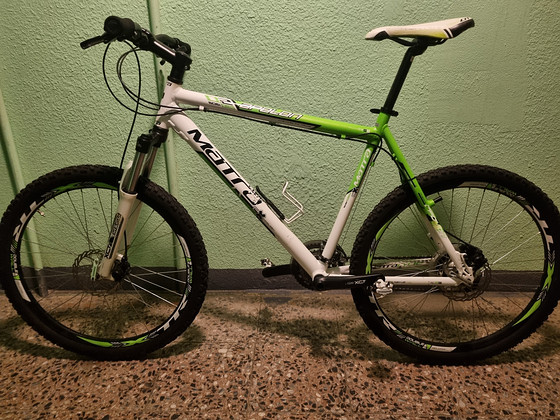 Cross Apolon Disc 24 käiku amort kuni 175 cm
