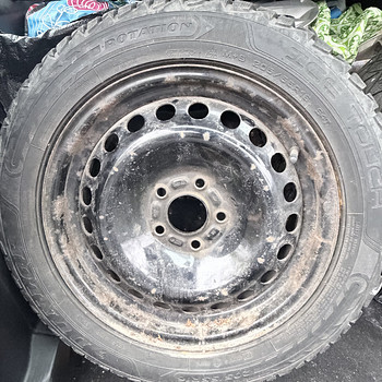 205/55 r16