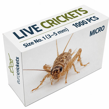 Elusad kilgid, suurus 1 (3–5 mm) | Söödaputukad