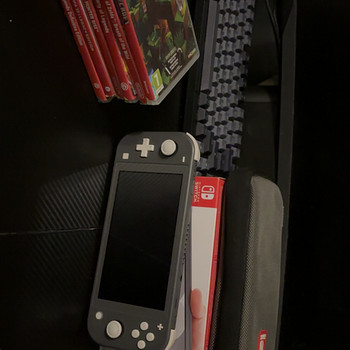Nintendo Switch Lite
