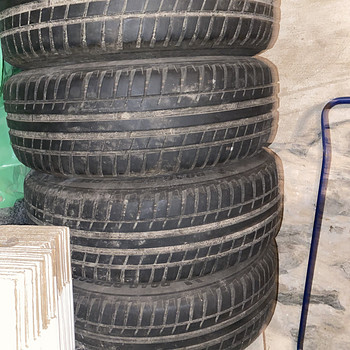 Veljed