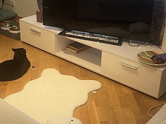 Televiisori aluskapp
