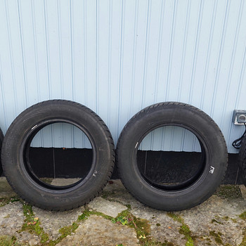 Naastrehvid Nankang Snow SW-7 195/65 R15 4tk