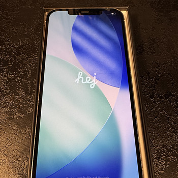 Apple iPhone 12 Pro Max 128GB, Silver (hõbedane)