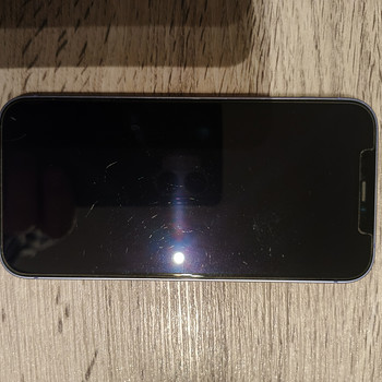 Apple 12