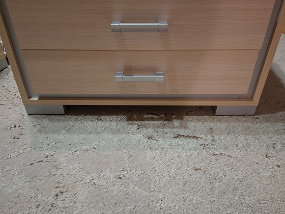Öökapid