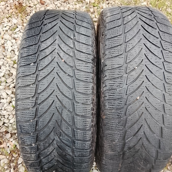 Lamellrehvid R16/55/205 Goodyear Ultragrip