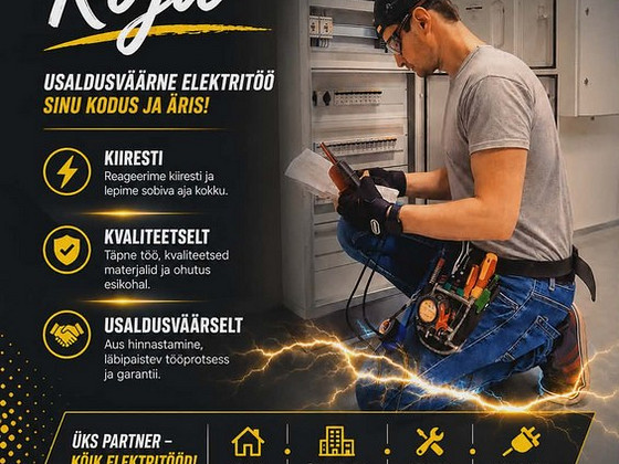 Professionaalne elektrik