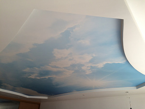 Pinglaed (6 foto / 6)