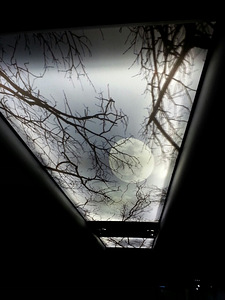 Pinglaed (4 foto / 6)