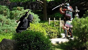 Ниндзя и Самураи - очень логическая настольная игра (3 фото из 3)