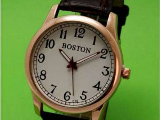 Мужские часы: Boston R241-2