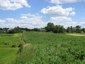 Зімельна Ділянка с. Нехворощ Корсунь-Шевченківськи (5 фото з 6)
