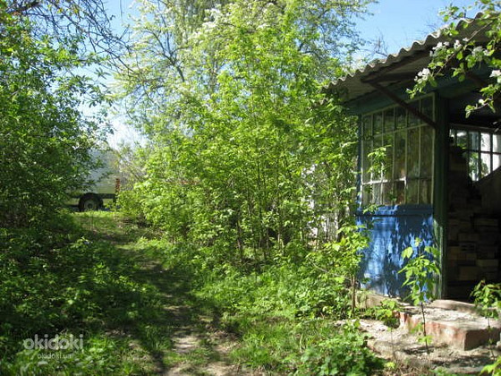 БУДИНОК, Київська обл., Миронівський р-н, с. Піі