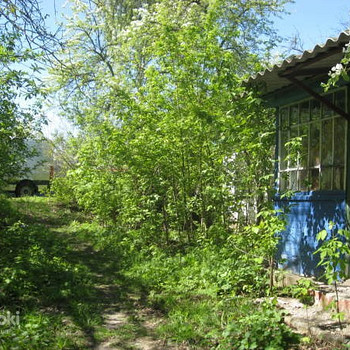 БУДИНОК, Київська обл., Миронівський р-н, с. Піі