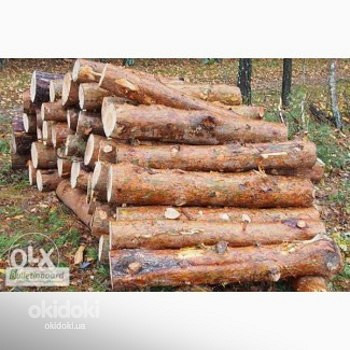 Дрова обрізні (обзел)