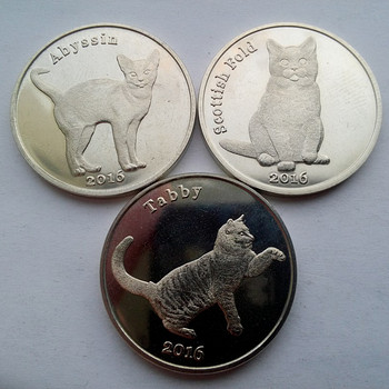 Кошки Шотландии