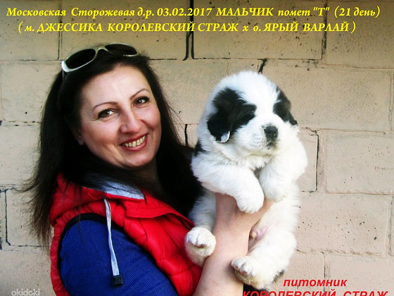 Московская сторожевая