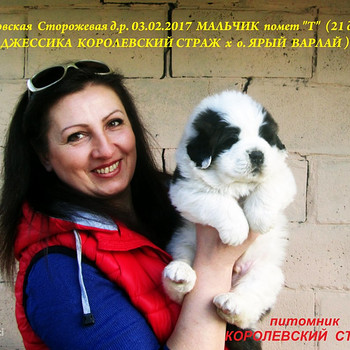 Московская сторожевая