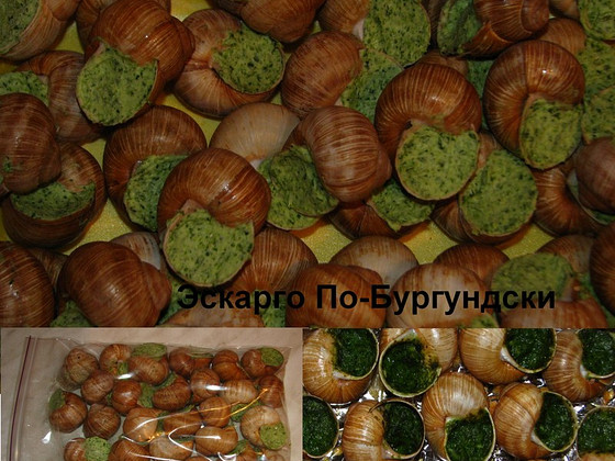 Ескарго з виноградних равликів