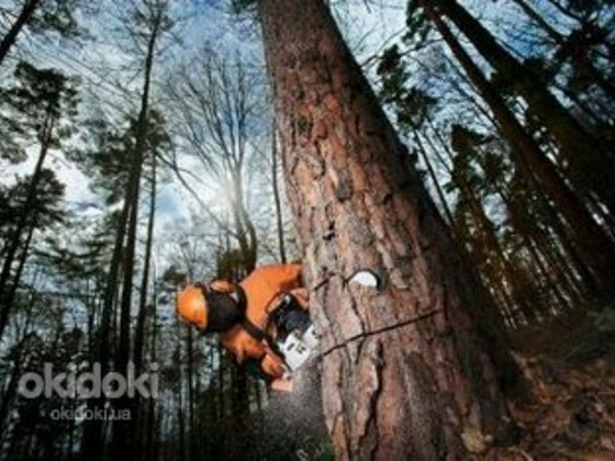 Обрезка удаление аварийых опасных деревьев, спилить дерево