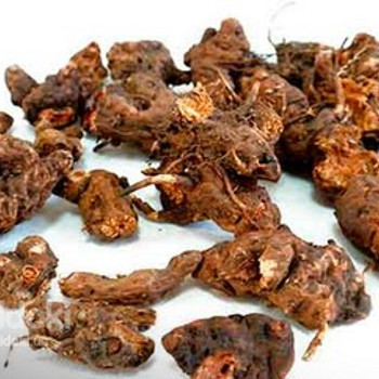 Калган (корень калгана) 50 грамм
