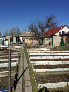Дом (3 фото из 10)