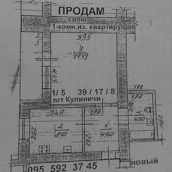 1 комнатная квартира