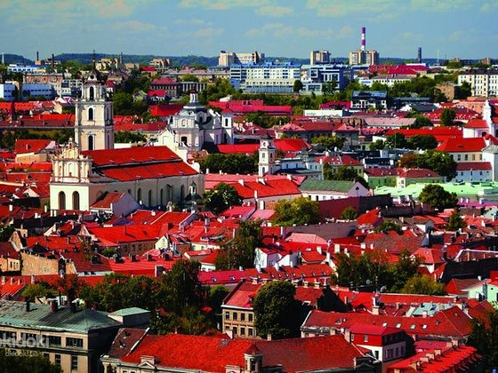 ВНЖ, ПМЖ і громадянства в Литві