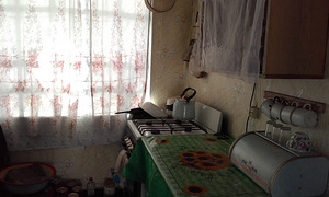 Дом с.Спиваковка (10 фото из 10)