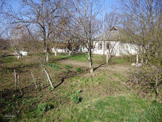 Оселя