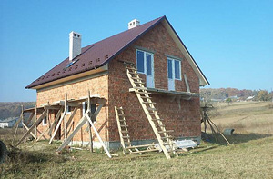 Дом (1 фото из 1)