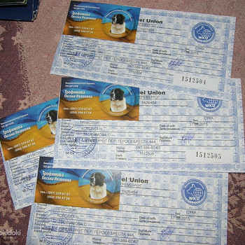 Біглі