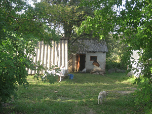 Коломак (1 фото з 1)
