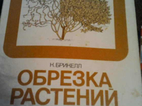 Довідник по обрізки рослин