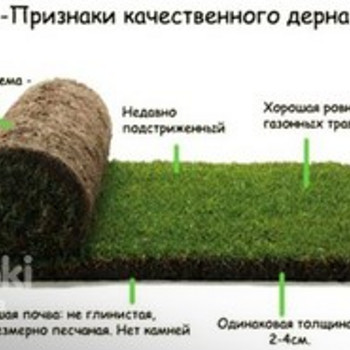 Газон рулонний