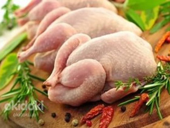 Halal Chiken (Халяль кури)