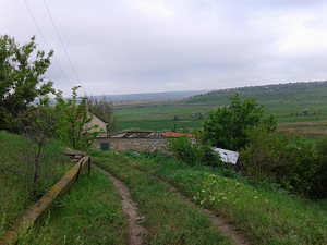 Будинок (5 фото з 6)