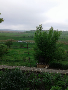 Будинок (6 фото з 6)