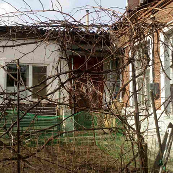 Полдома район Центрального рынка