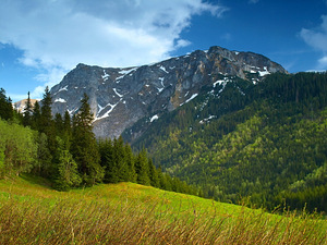 Тур в Карпати (1 фото з 1)