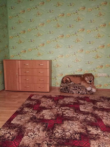 Житло подобово (7 фото з 7)