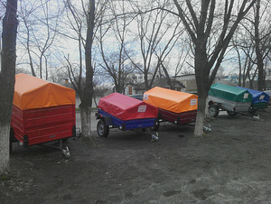 Прицеп лев акция (3 фото из 3)