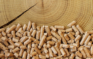Pellet, puitbriket (1 foto / 2)