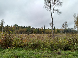 Kinnistu Harjumaal, Anija vallas, Raudoja külas (2 foto / 5)