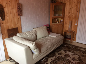 Nahk diivan (2 foto / 3)