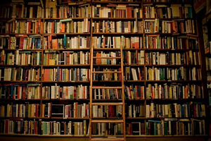 Книги (1 фото из 1)