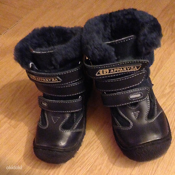 Зимние сапоги, 25