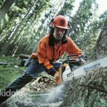 Puude langetamine ja äravedu, arboristi teenused, hooldamine